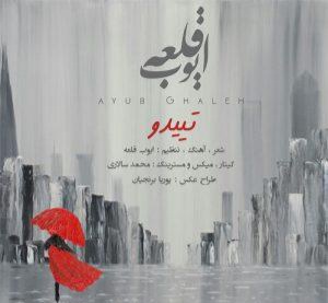 ایوب قلعه تییدو
